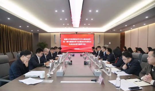 能源公司召开党委理论学习中心组学习会暨2024年度民主生活会会前专题学习会